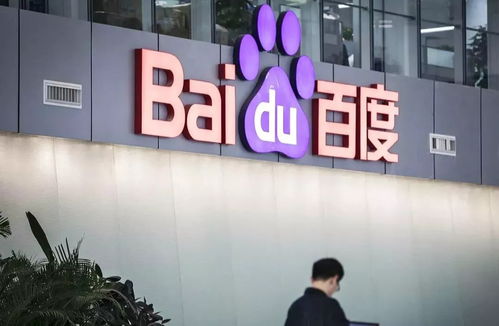 可视化蜘蛛池